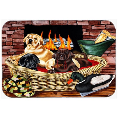 Carolines Treasures The Next Generation Labrador Indoor or Outdoor Mat- 18 x 27 AMB1362MAT